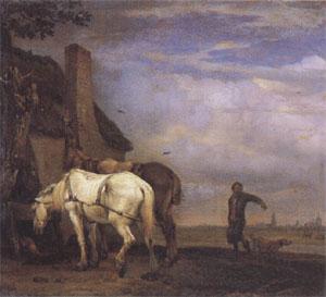 POTTER, Paulus Two Drafthorses in Front of a Cottage (mk05) oil painting image
